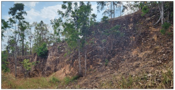 Hostorical gold workings